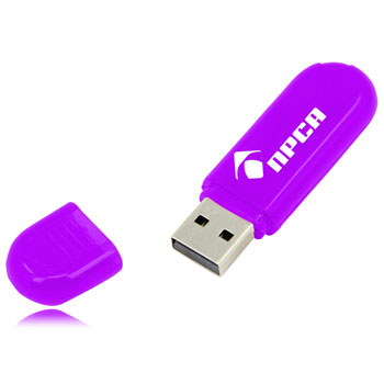 2GB Classy Translucent Flash Drive