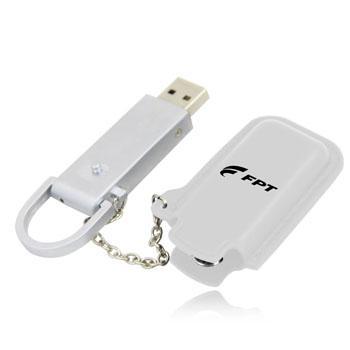 2GB Dashing Flash Drive With Leather Case