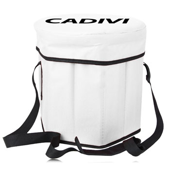 Collapsible Cooler Stool Bag