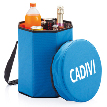 Collapsible Cooler Stool Bag