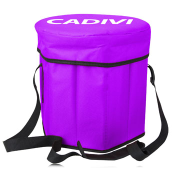 Collapsible Cooler Stool Bag