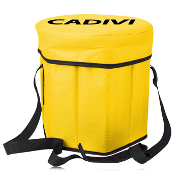 Collapsible Cooler Stool Bag