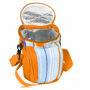 Outdoor Insulated Picnic Lunch Bag