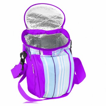 Outdoor Insulated Picnic Lunch Bag