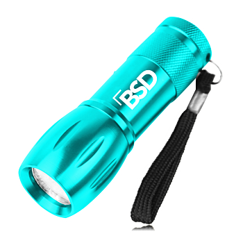 9-LED Flashlight With Wrist Strap