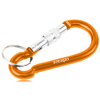 Aluminum Locking Clip Carabiner Keyring