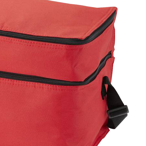 Double Compartment Lunch Cooler Bag