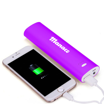 10000mAh Power Bank With LED Flashlight